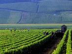 Bourgogne - Un classement à l'Unesco ?