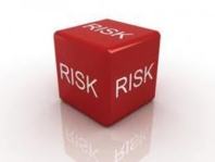 Shaping a Risk Intelligent Strategy