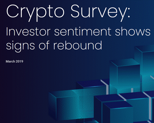 Crypto Survey: Investors Remain Bullish About Cryptocurrency and Blockchain Technology