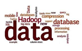 Successful Big Data Processes projects hinge on data management