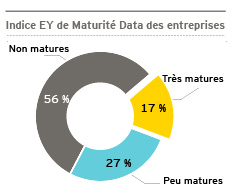 (Big) data - Où en sont les entreprises françaises ?