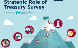 2017 AFP Strategic Role of Treasury (Survey)