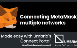 Connecting MetaMask to Binance Smart Chain and other networks made easy with Umbria’s ‘Connect Portal’ 