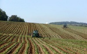 Coface place le secteur agroalimentaire français sous surveillance négative